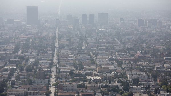 (Shutterstock/ File Photo)