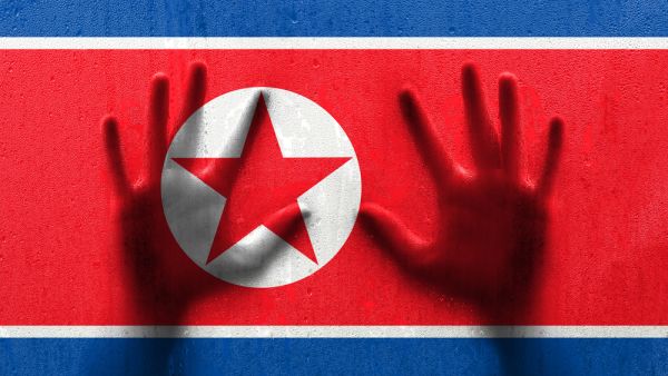 North Korea country flag (Shutterstock)	