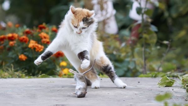 (Shutterstock/ File Photo)