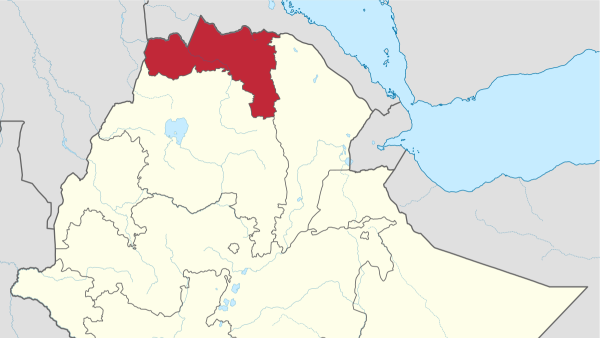 أعلنت قوات تيجراي أنها دمرت الفرقة 21 الآلية بالجيش الإثيوبي الاتحادي