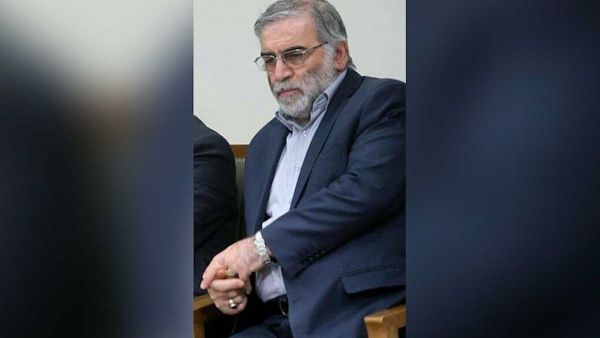 محسن زادة