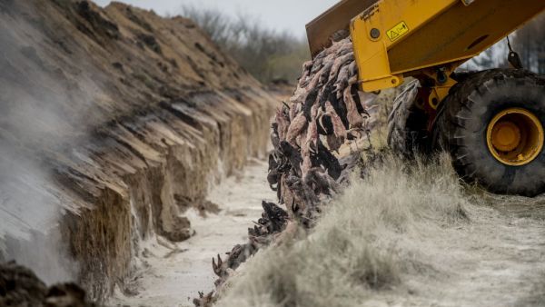 A truck unloads dead mink into a ditch as members of Danish health authorities assisted by members of the Danish Armed Forces bury the animals in a military area near Holstebro, Denmark on November 9, 2020. Morten Stricker / Ritzau Scanpix / AFP