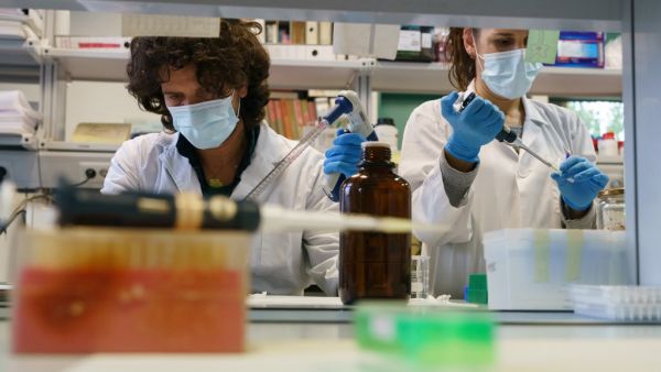 Researchers at the Institute of Molecular Biology and Genetics (IBGM) of the University of Valladolid (UVa) work on searching a vaccine against COVID-19, at a laboratory in Valladolid on November 10, 2020. Cesar Manso / AFP