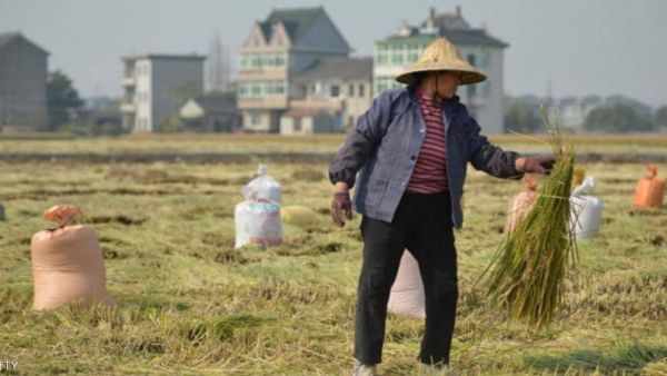  المناخ أصبح أكثر سخونة وجفافا منذ تسعينيات القرن العشرين