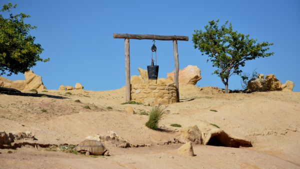 Morocco, Africa (Shutterstock)	