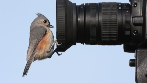 (Shutterstock/ File Photo)