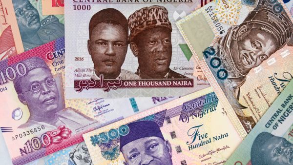 Nigerian money currency notes  (Shutterstock)	