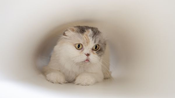 (Shutterstock/ File Photo)