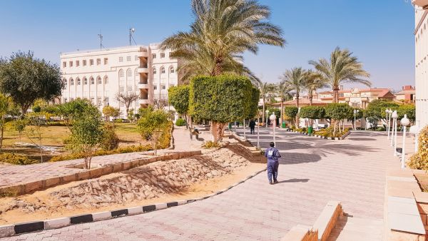 (Shutterstock/ File Photo)