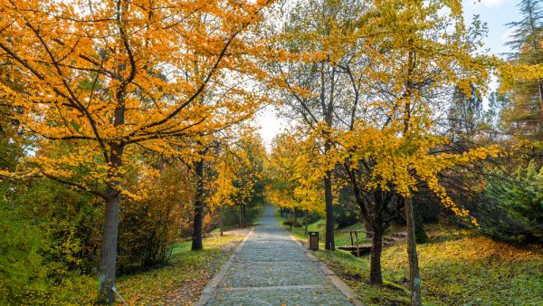 (Shutterstock/ File Photo)