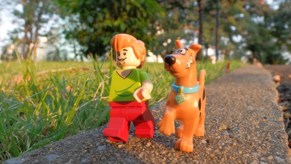 (Shutterstock/ File Photo)