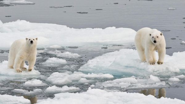 الأمم المتحدة: العالم يتجه نحو تغير مناخي حاد والغازات المسببة للاحتباس الحراري ترتفع لمستوى قياسي