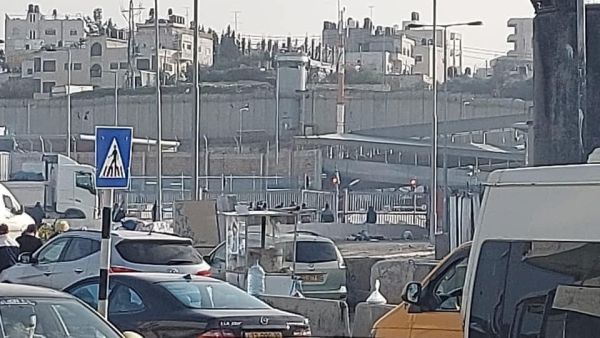 من صفحة الاعلامية لانا كاملة