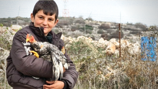 No Kidding; A Chicken Was Behind Border Tensions Between Lebanon and Israel