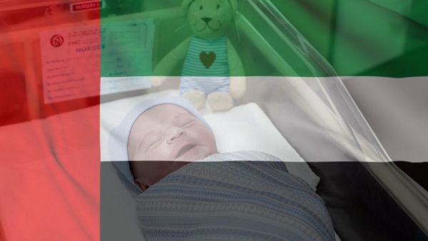 العلم الإماراتي