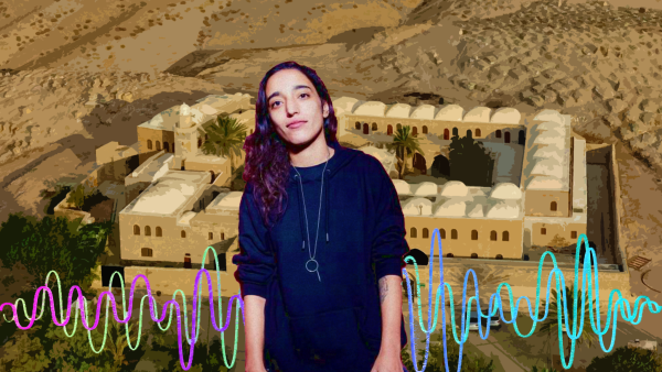 Palestine's First Female DJ Arrested After a Music Concert in Nabi Musa Shrine Despite an Earlier Govt Approval