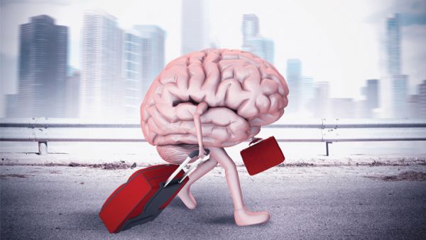 الهجرة العربية إلى الغرب تشمل كل التخصصات العلمية