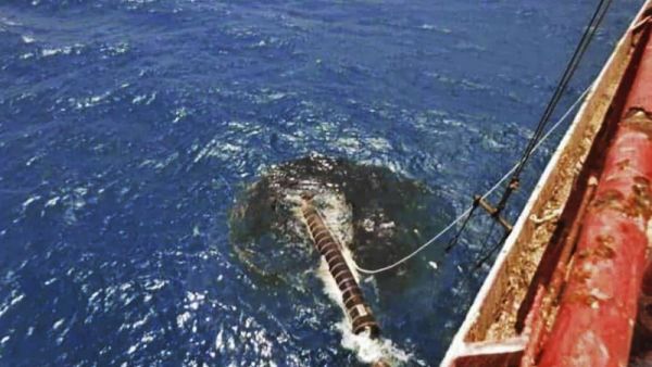 الناقلة صافر