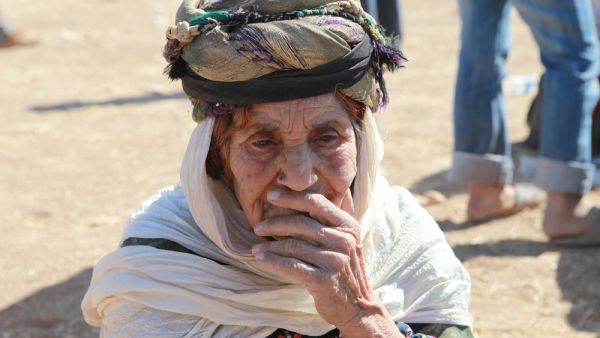 (Shutterstock)	  (Shutterstock)