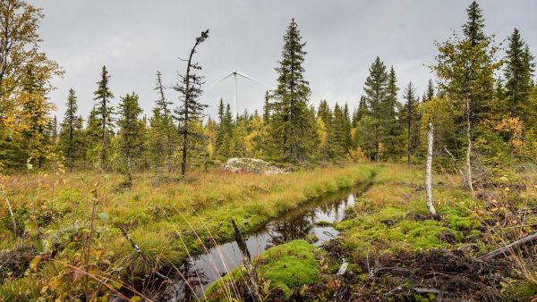 The contract also covers a 20-year service agreement for the installations Siemens Gamesa Strengthens Its Partnership With European Energy To Supply Wind Farms in Sweden and Poland