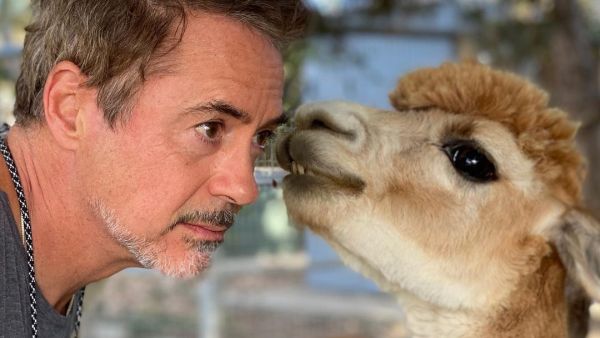 Robert Downey Jr.  (Instagram)