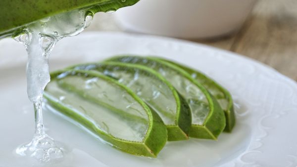 طبيب البوابة: 5 علاجات طبيعية للتخلص من الكدمات