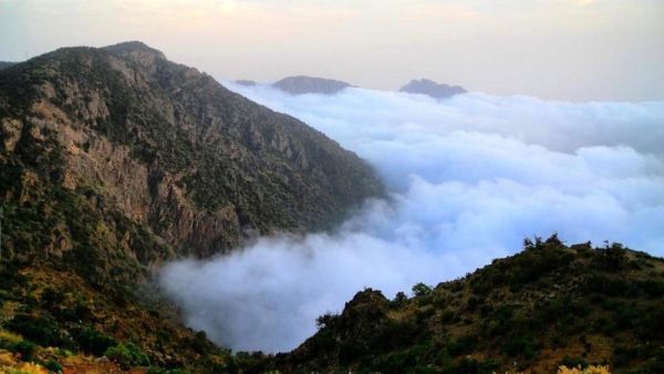 أبها
