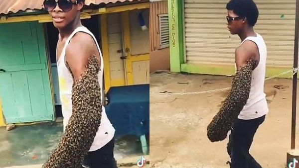 Social media footage shows the worker in the Dominican Republic, seemingly unfazed, leisurely walking down the street with his left arm covered by the army of bees. (Instagram)