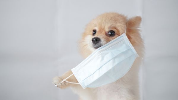 (Shutterstock/ File Photo)