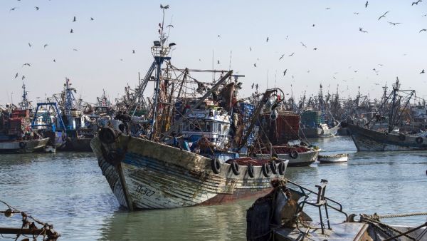 The fight over the western Sahara set to continue 
