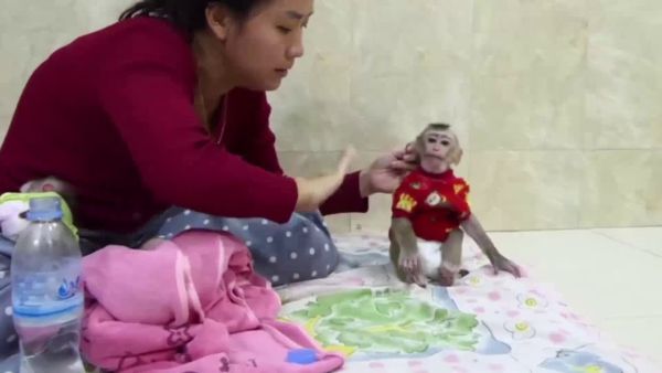 One showed a man boasting how he made a baby monkey 'super loud cry' while he choked her and another showed a monkey being held upside down and slapped. (YouTube)