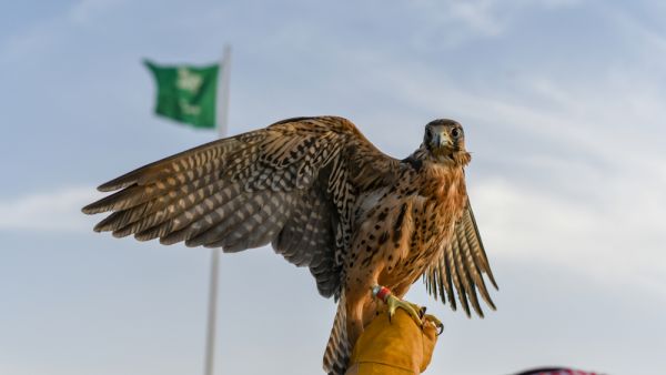 (Shutterstock/ File Photo) (Shutterstock/ File Photo)