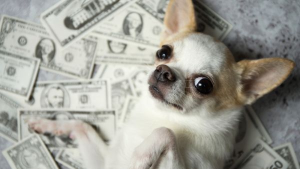 (Shutterstock/ File Photo)