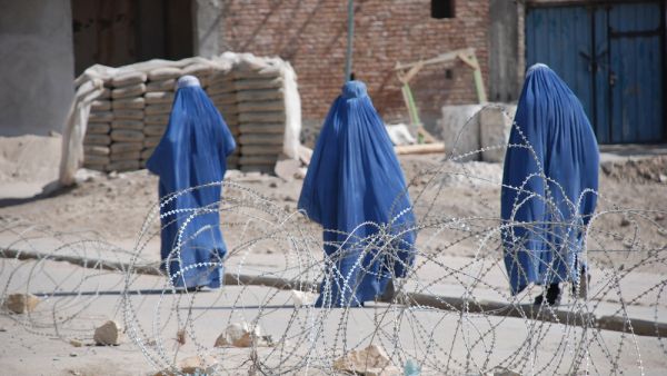 (Shutterstock)	  (Shutterstock)