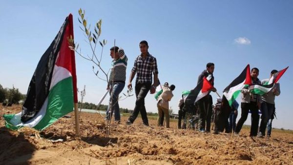 فلسطين تحيي ذكرى يوم الارض