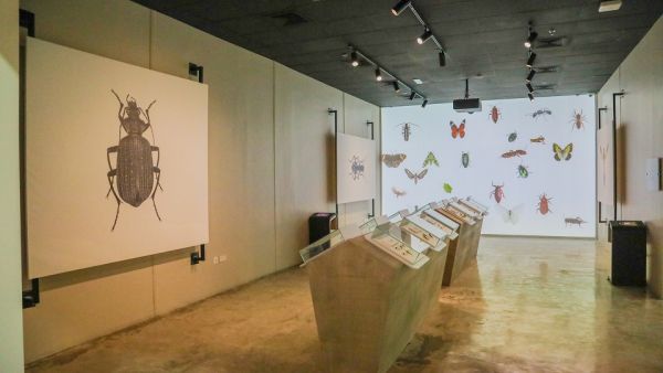 The Environment and Protected Areas Authority in Sharjah Welcomes Over 66,000 Visitors To Its Centres Throughout January and February