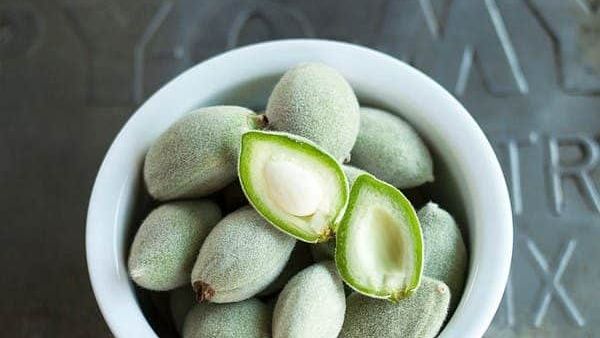 لوز أخضر