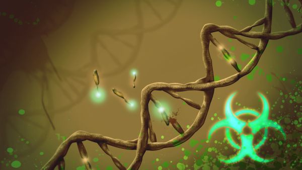 Zombie genes are being developed after death