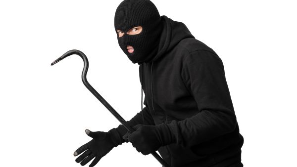 The cat killer 