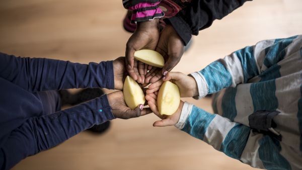 food security