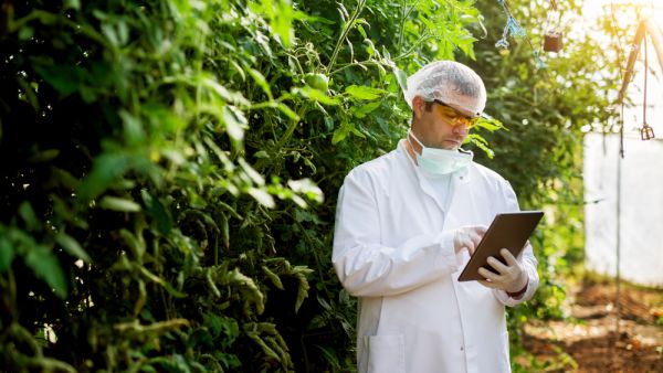 Plants can communicate with humans 