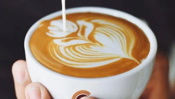 This is exactly what you need right now...right?