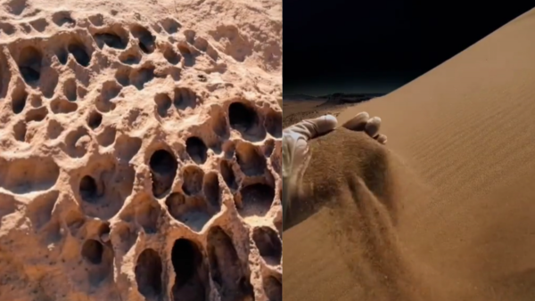 Snaps from TikTok