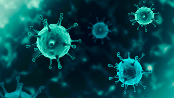QF Global Health Initiative Forms Strategic Partnership With BMJ Innovations