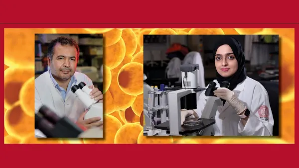 WCM-Q Research Probes Mechanisms Of Premature Aging Of Fat Cells In Obesity