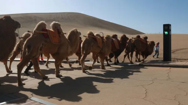 إشارة مرور للجمال 