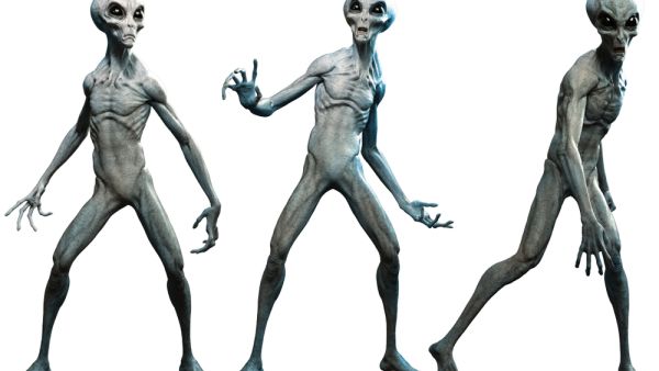 Grey aliens 