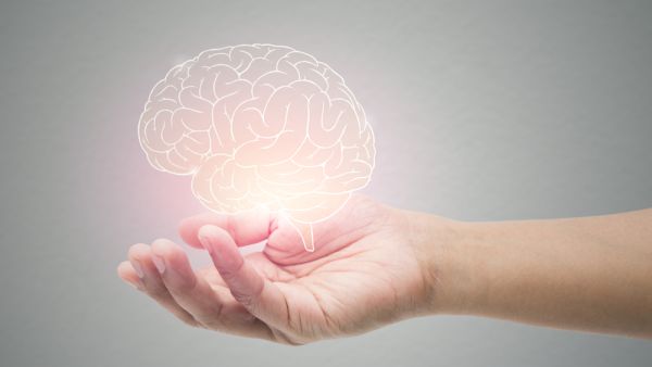 Man holding brain illustration against gray wall background