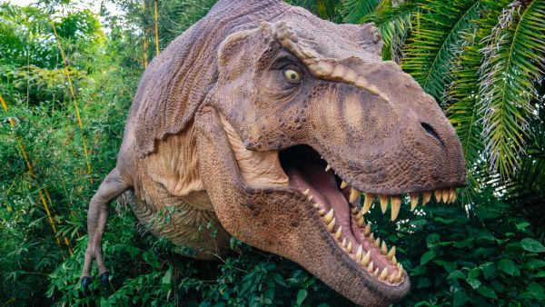 T-Rex