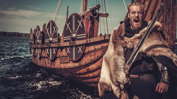 Viking warrior 